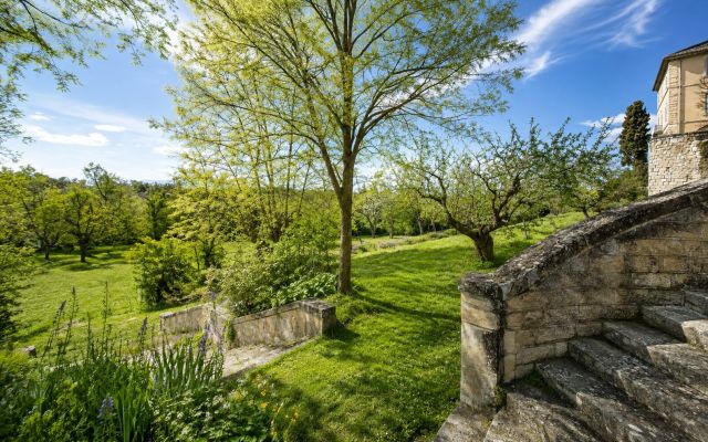 La création retrouvée avec Laudato si&#039; 