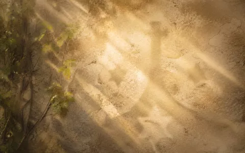 Rencontrer Jésus avec les saints du Carmel